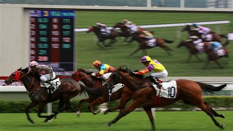 horse racing accumulator each way.
